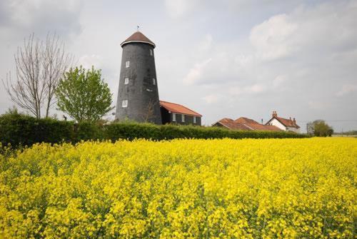 Yaxham Mill Bed & Breakfast Dereham Bagian luar foto